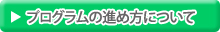 リンク：プログラムの進め方について