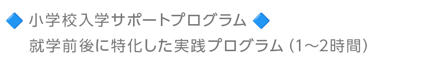 小学校入学サポートプログラム:就学前後に特化した実践プログラム (1〜2時間)